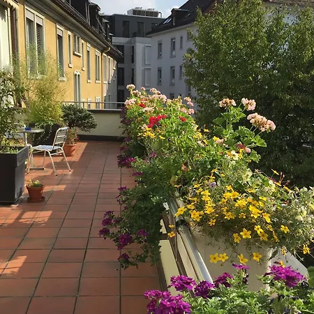 Haus Zur Stauffacherin