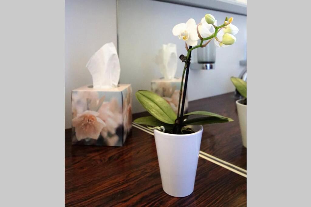 Apartment Turicum Mit Balkon Und Parkplatz