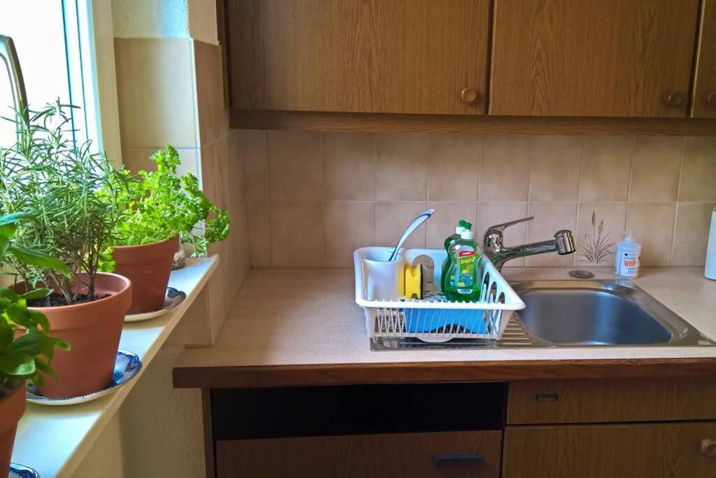 Apartment Turicum Mit Balkon Und Parkplatz Zurich