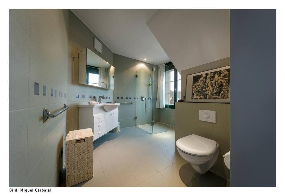 City, And Luxury Apartment *