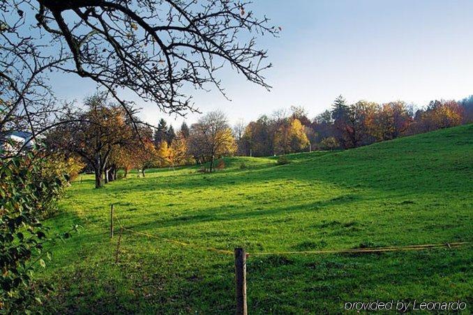 Hotel The Guests' House 3*