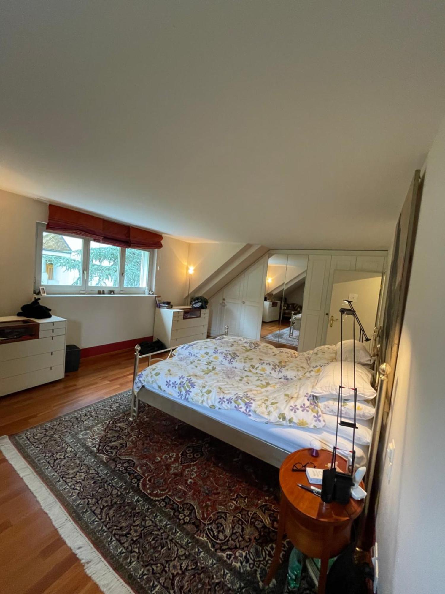 Spacious And Stylish In Zurich