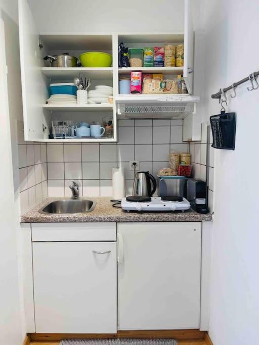 Apartment Cozy Zurich