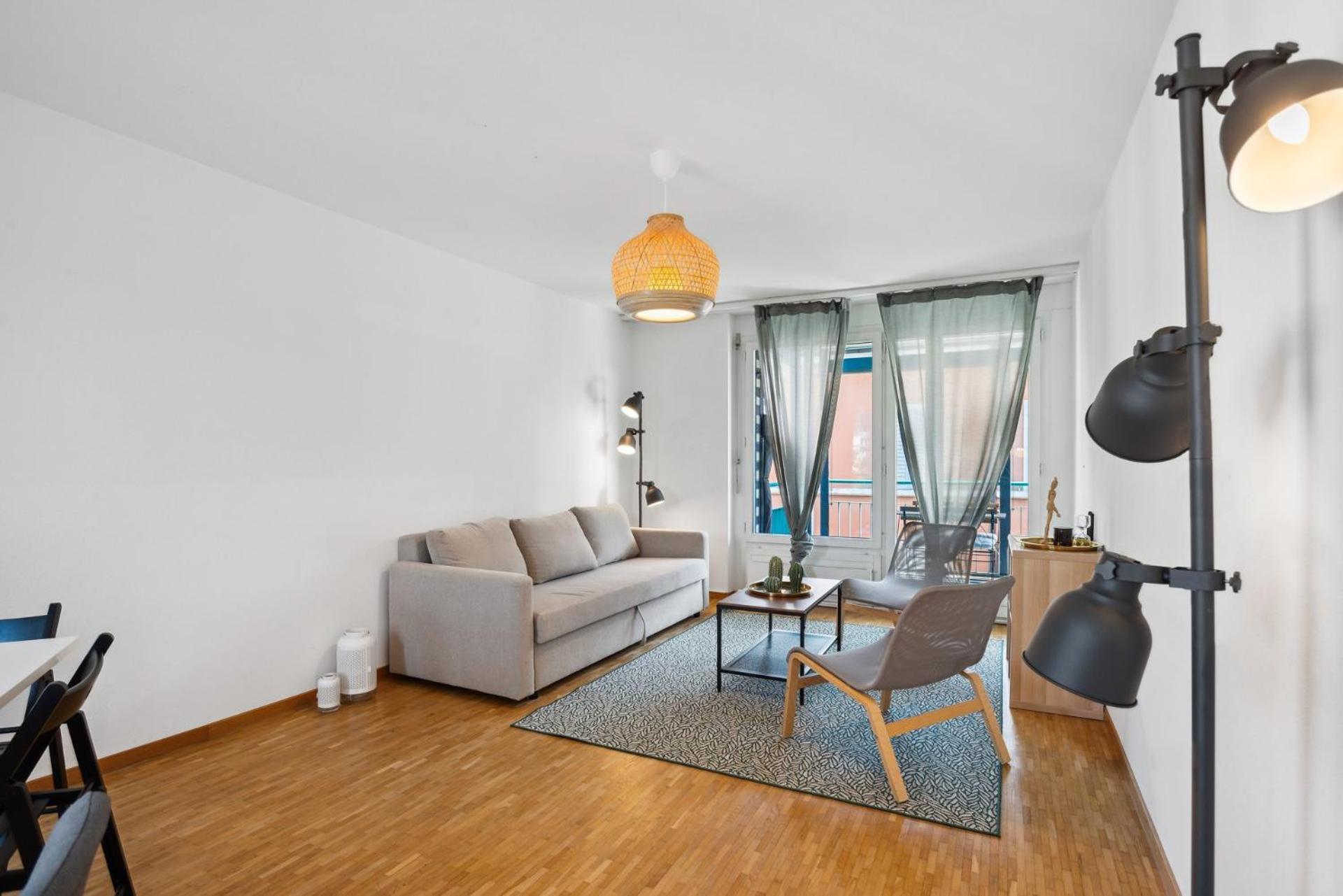 Apartment Spacious Hoting Zurich