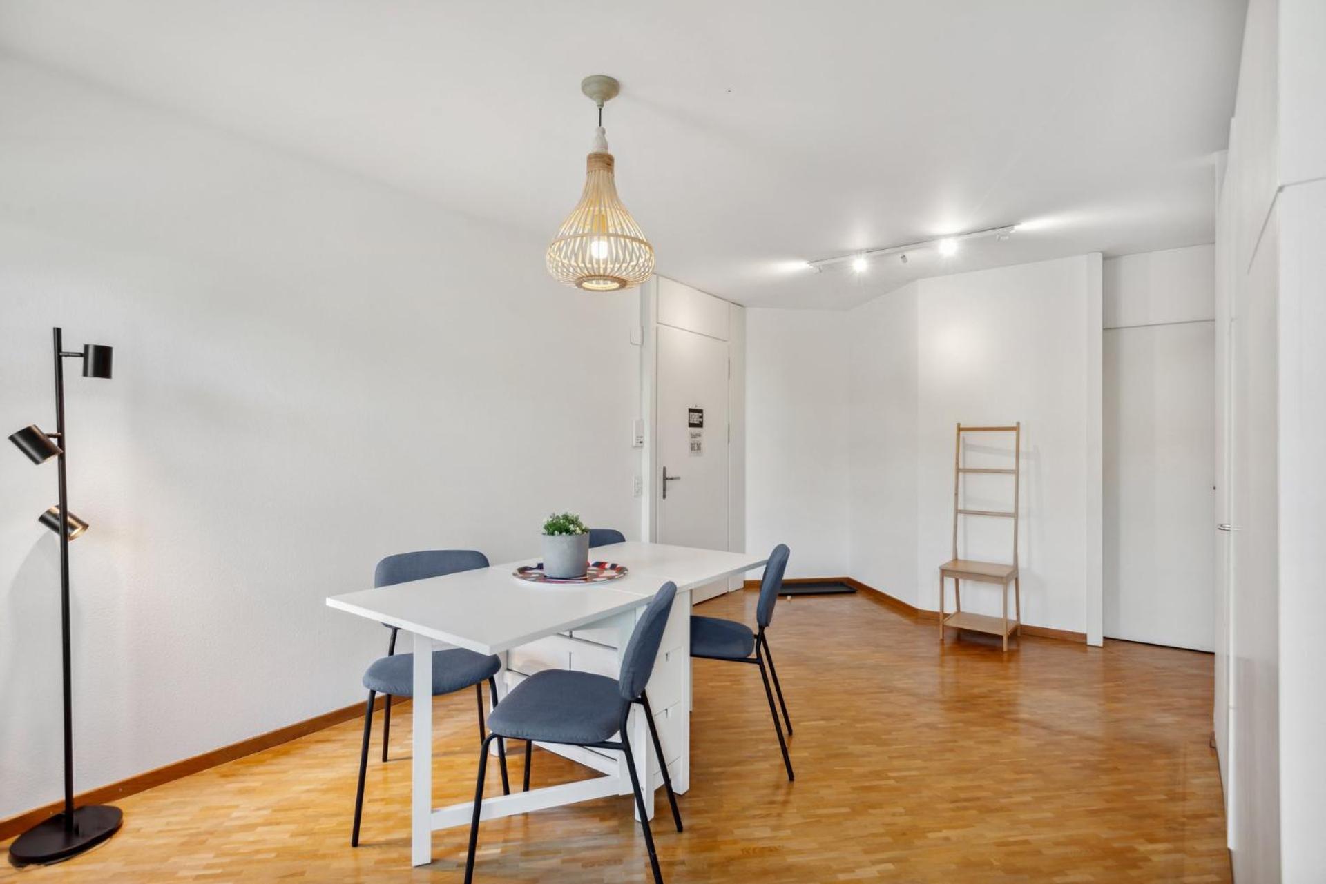 Apartment Spacious Hoting Zurich