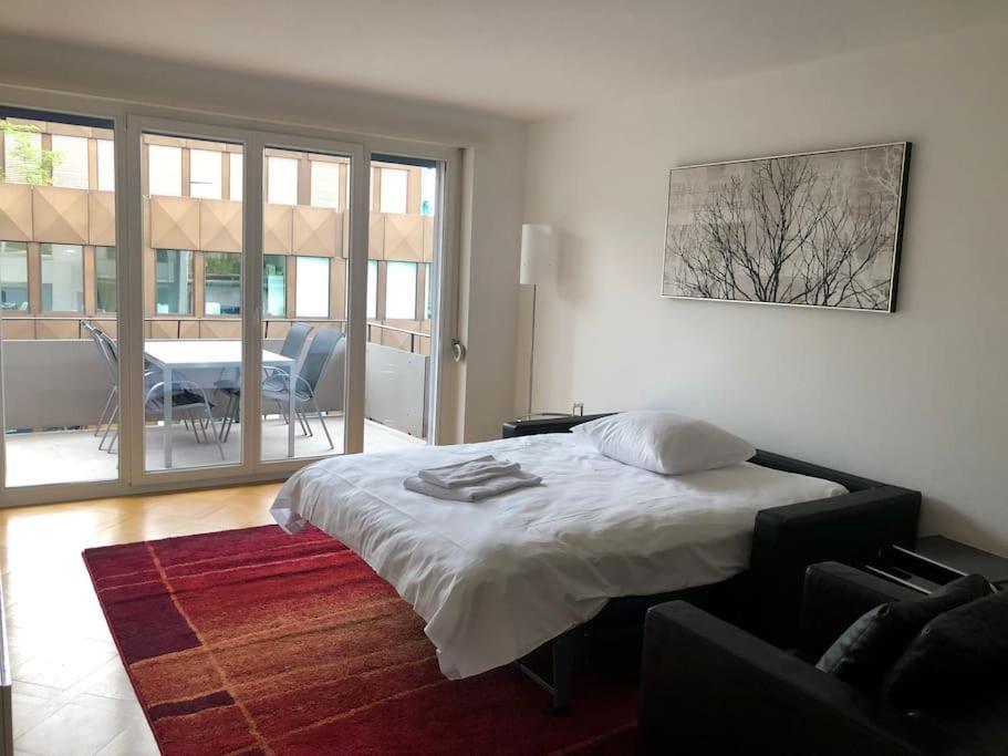 Apartment Bright 1 Bedroom Flat In The Centre Zurich