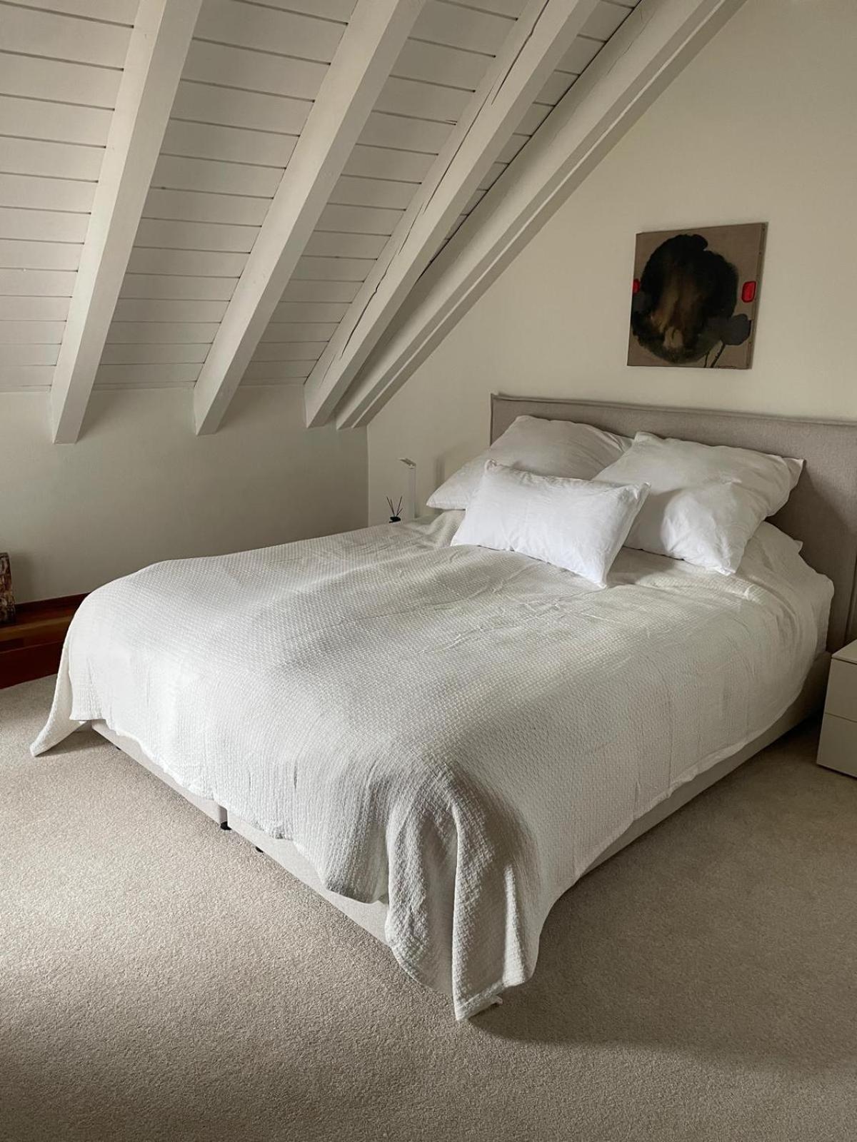 Apartment Spacious And Stylish In Zurich