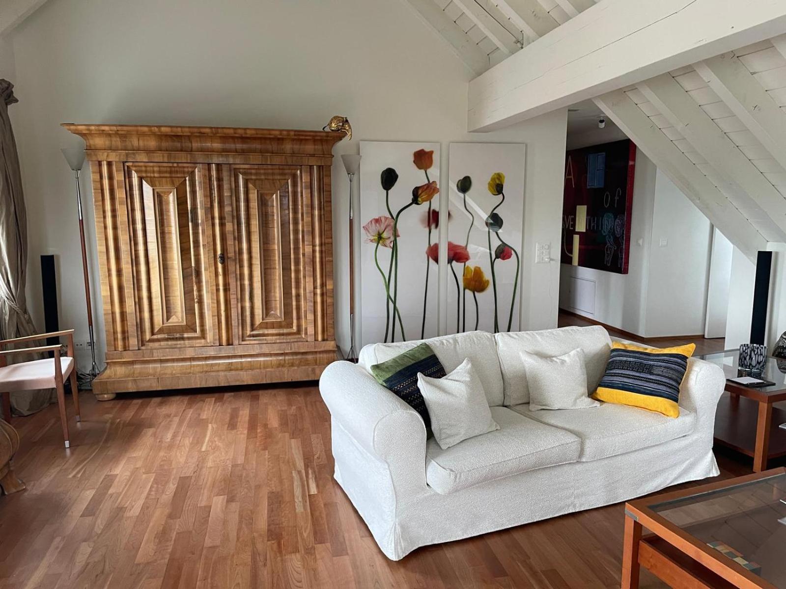 Spacious And Stylish In Zurich