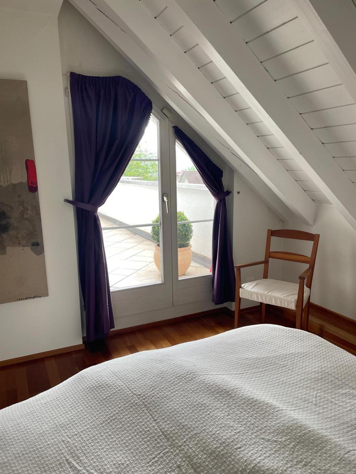 Apartment Spacious And Stylish In Zurich