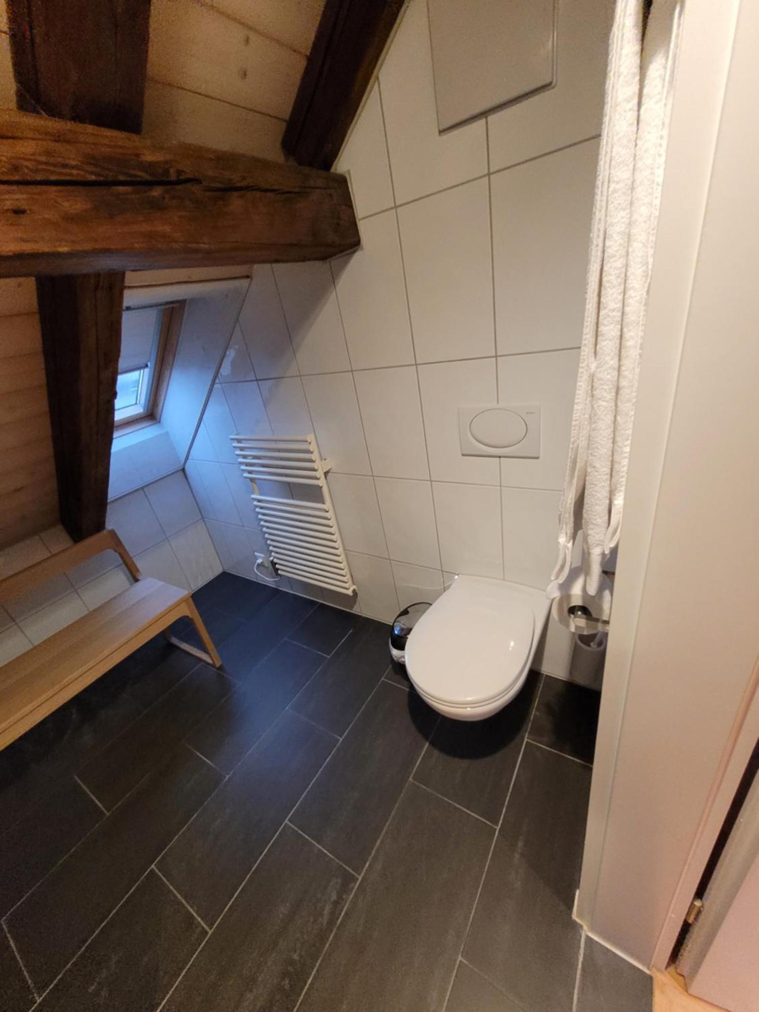 Le Bijou Lintheschergasse / Hb Apartment Zurich