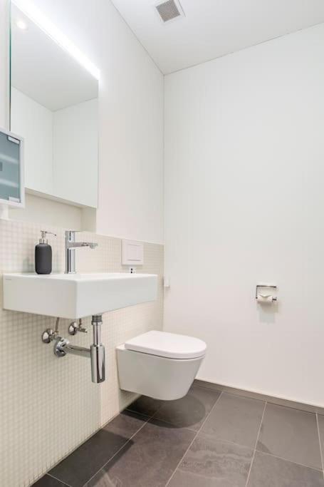 Luxus Mit Garten Zurich