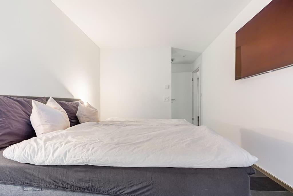 Apartment Luxus Mit Garten Zurich