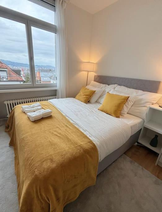 Apartment Brand New