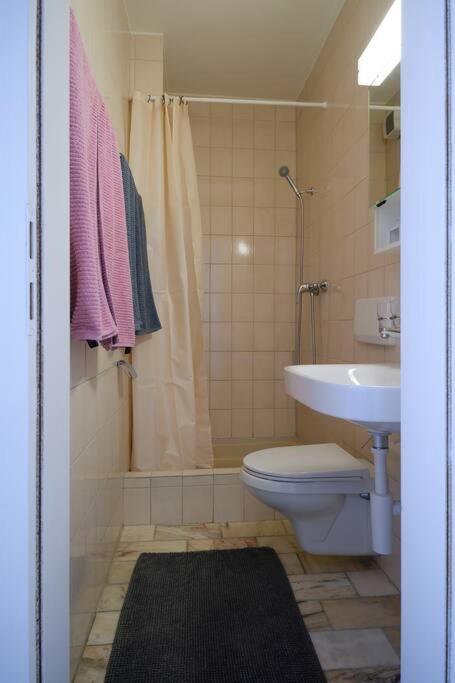 Apartment Komfortable Im Lebendigen Zuercher Kreis 3