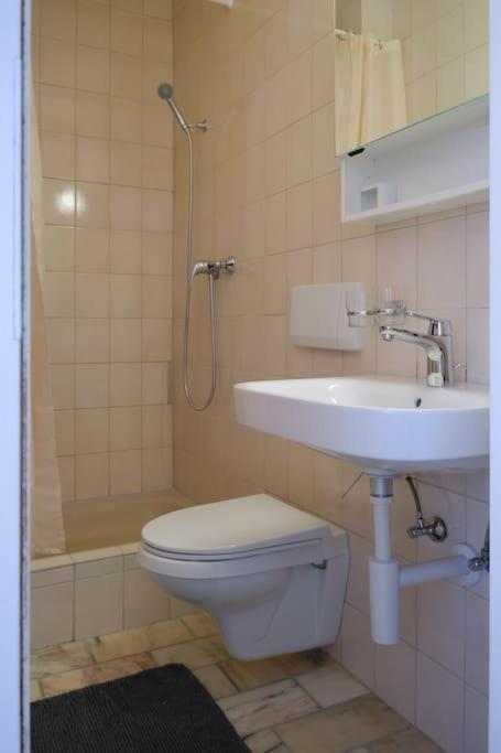 Apartment Komfortable Im Lebendigen Zuercher Kreis 3 *