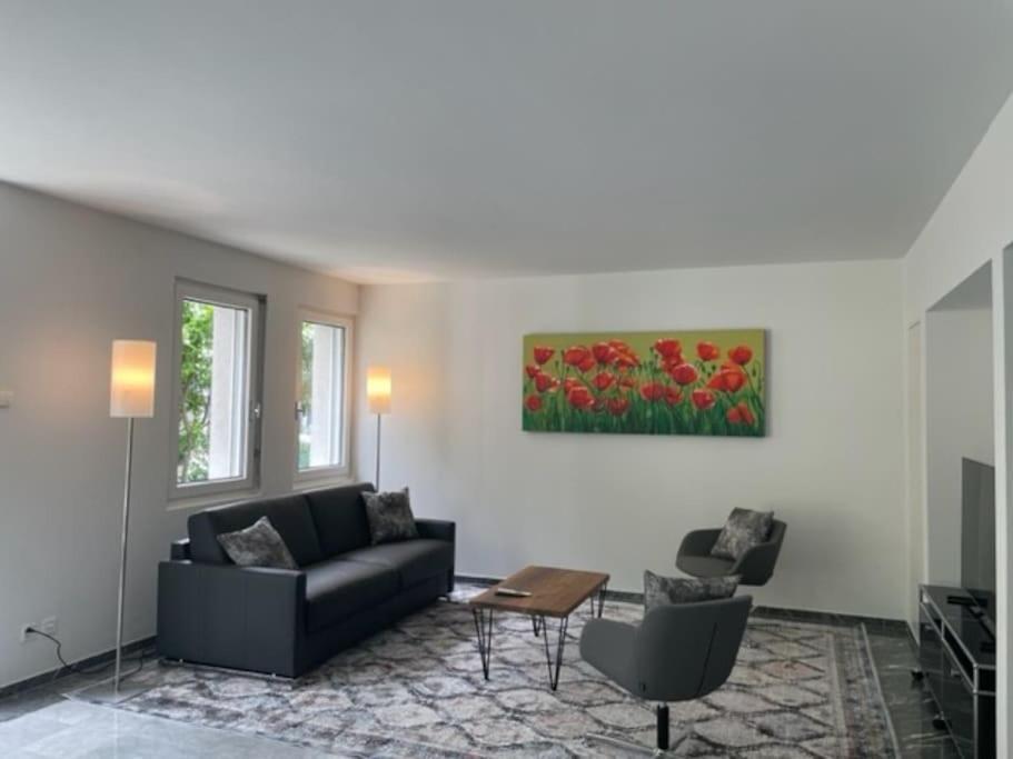 Fantastic 2 Bd Flat - Duke1 * Zurich