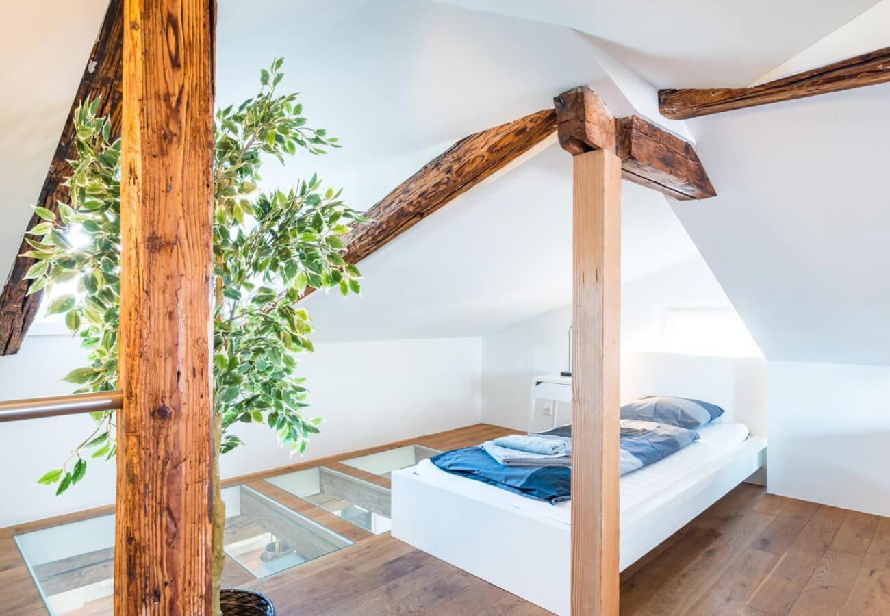 Hitrental Schmidgasse - *