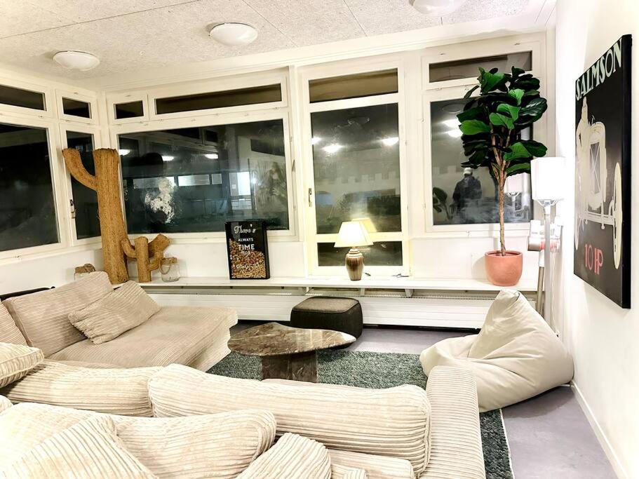 Apartment Super Cozy In Zürich