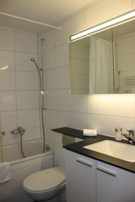 1br Close To Opera - Sf7 Apartment Zurich