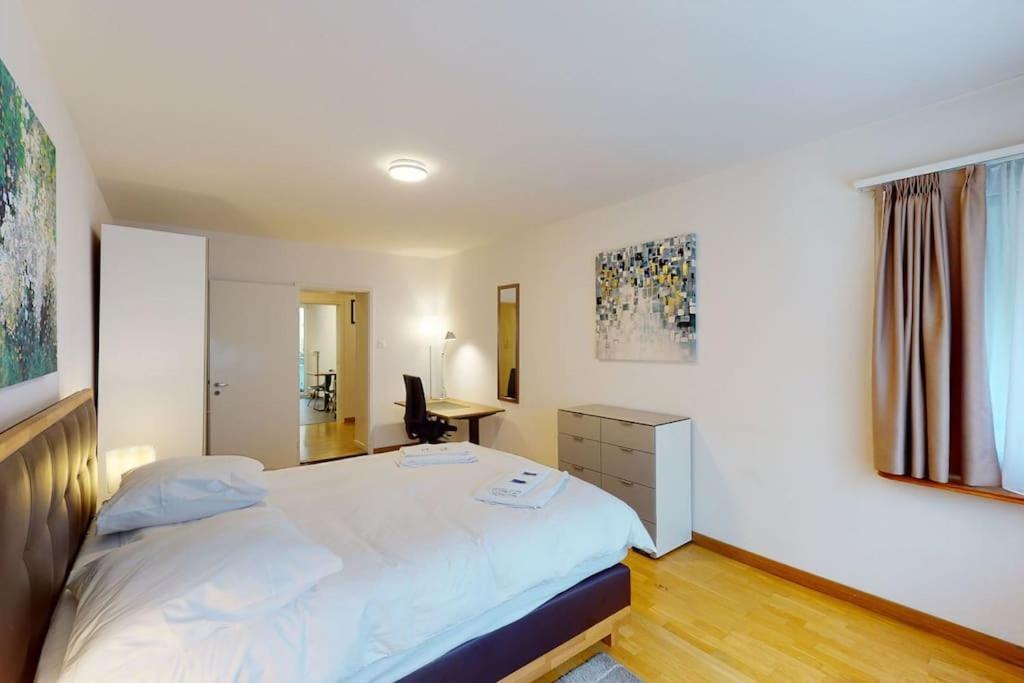 Terrific 2bd Flat Near Center And - 5 * Zurich