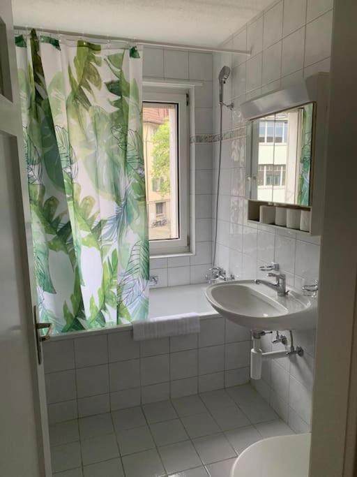 Fantastic 1br Flat In The Center - Marble 1 Zurich