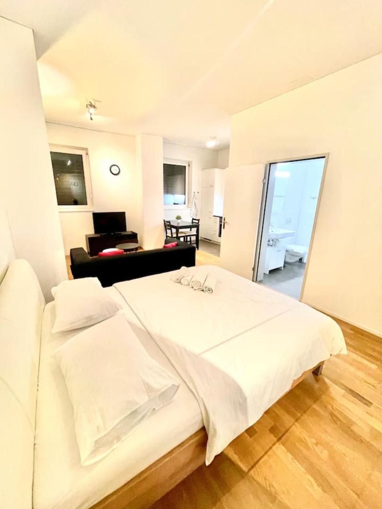 Dream Sh04l Apartment Zurich