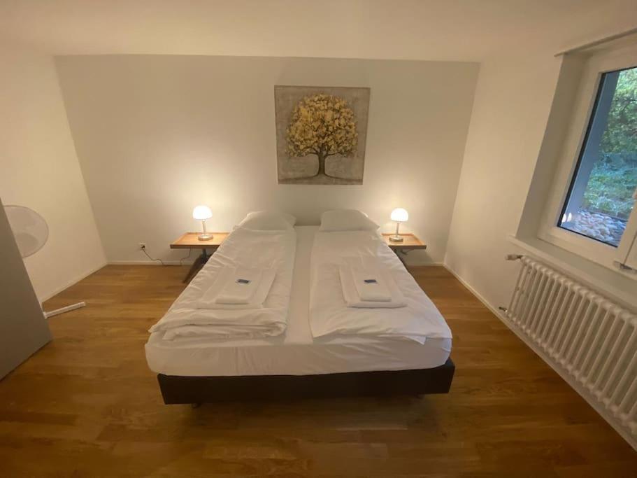 Apartment Amazing 4br Flat In The Centre - Sky 9 Zurich