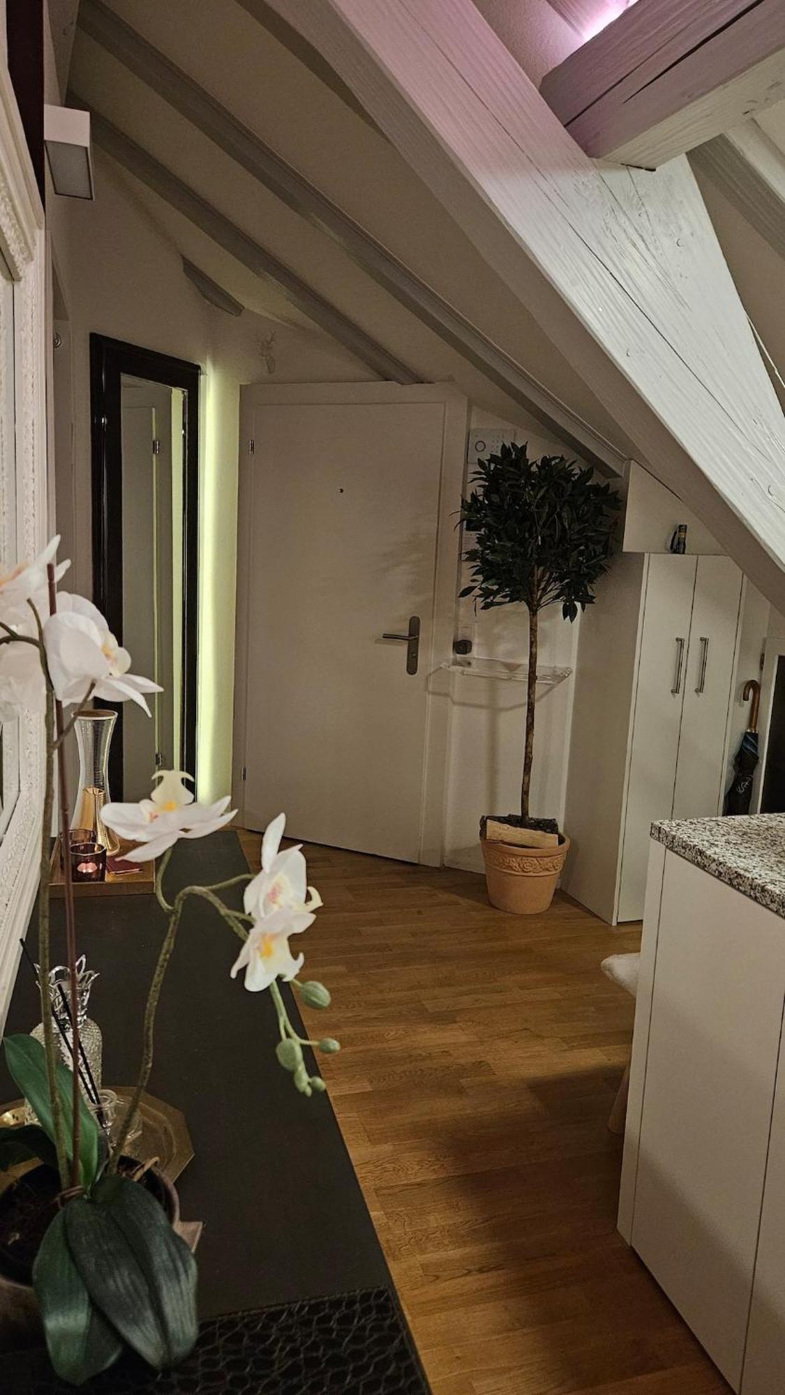 Executive Studio In Pedestrian Area Apartamento