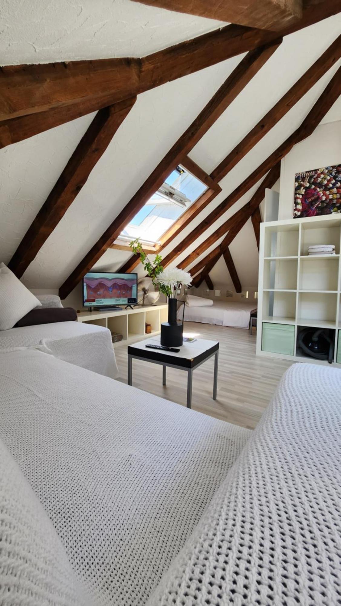 Trend Area Attic Seefeld Hotel Zurich