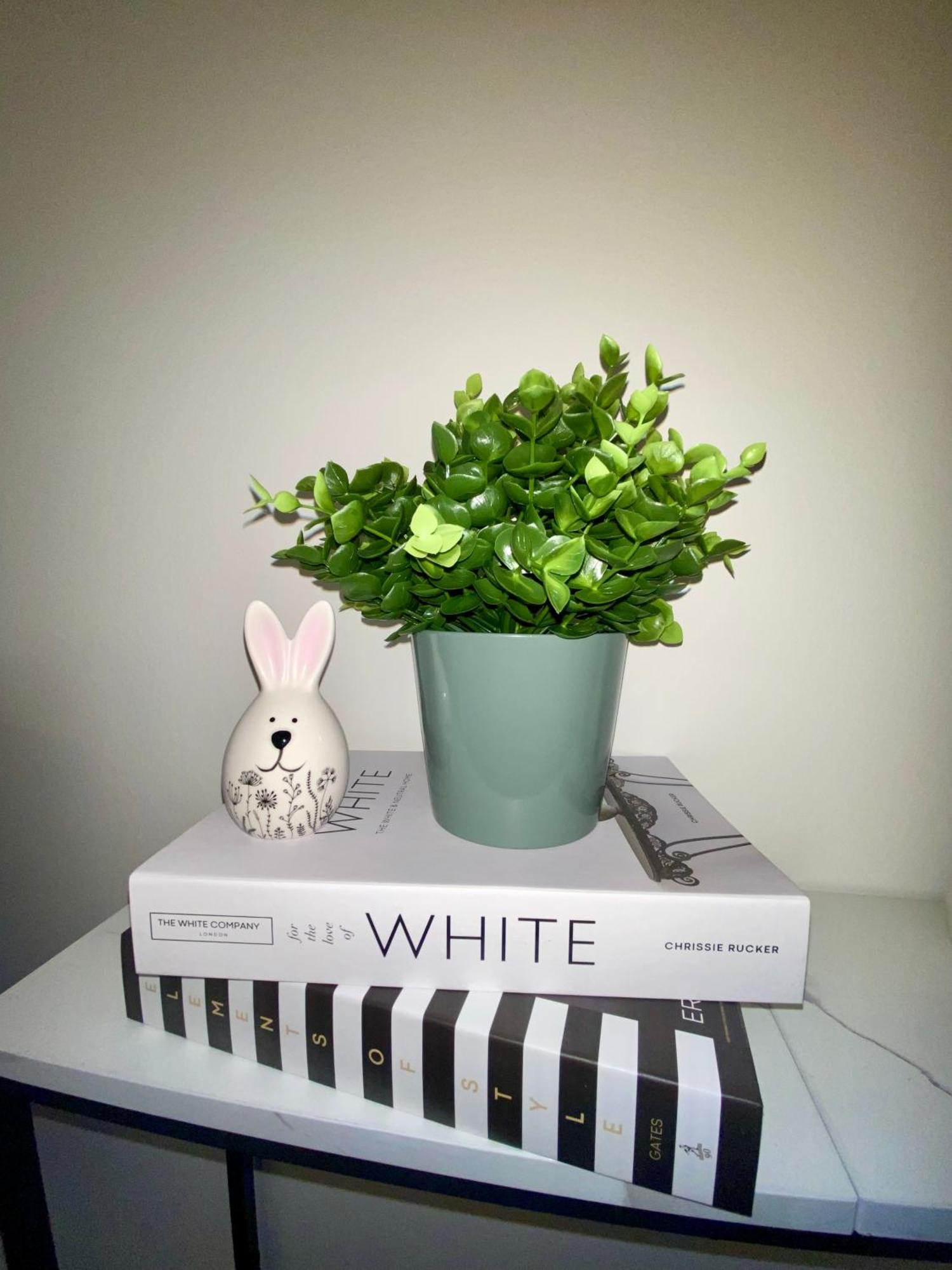 Views Am Schaffhauserplatz *