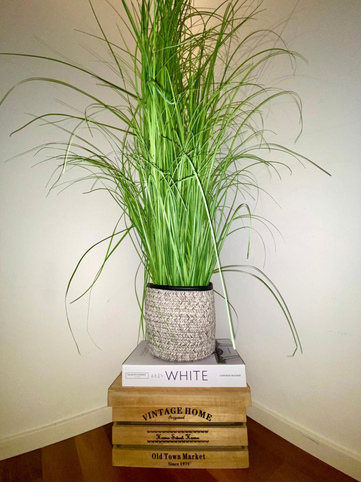 Views Am Schaffhauserplatz * Zurich