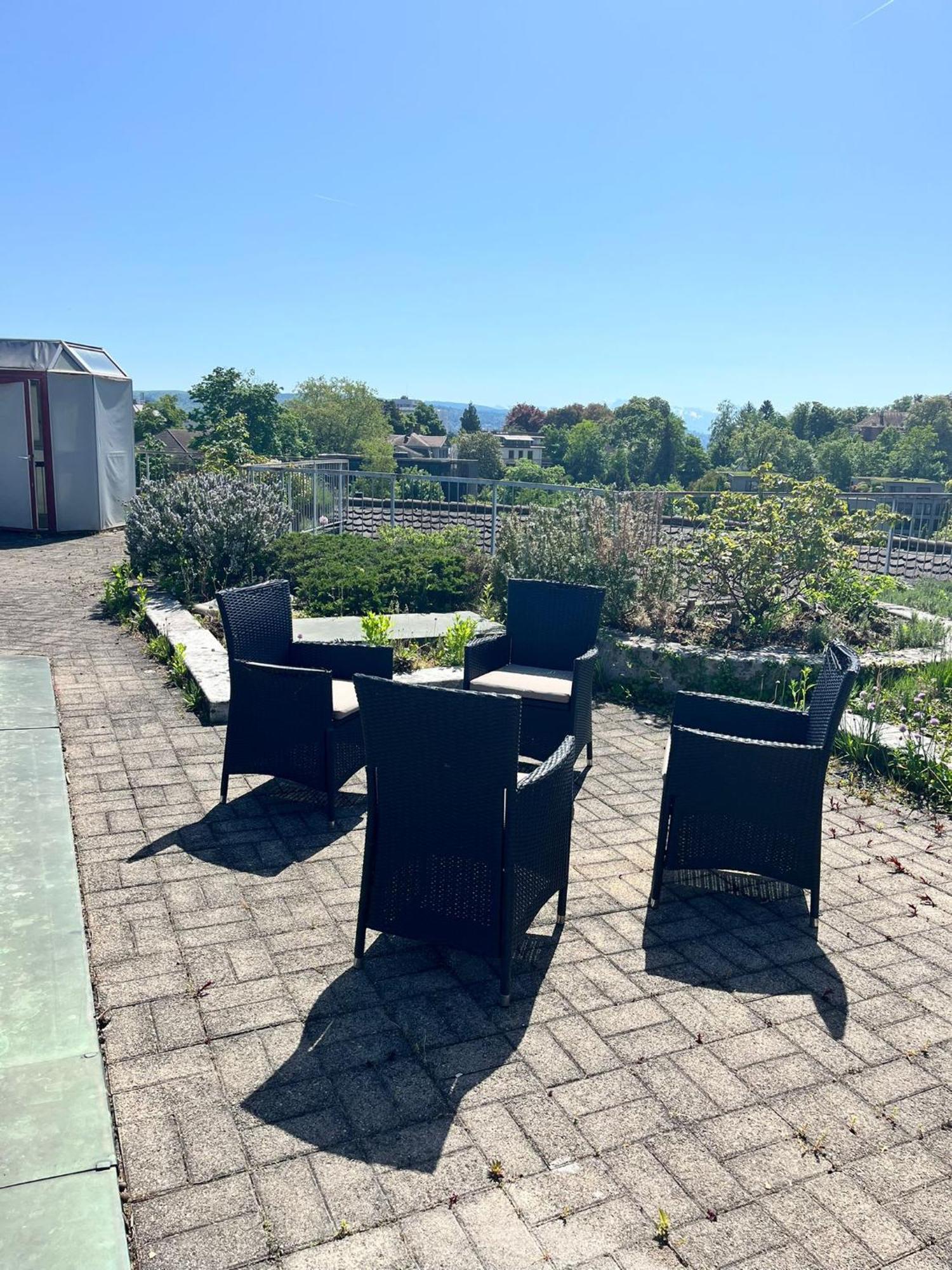 Penthouse With Jacuzzi, Sauna And Rooftop Apartment Zurich