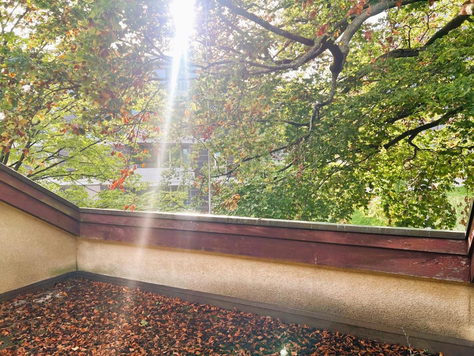 Apartment Large Flats, Hwa - Self Checkin