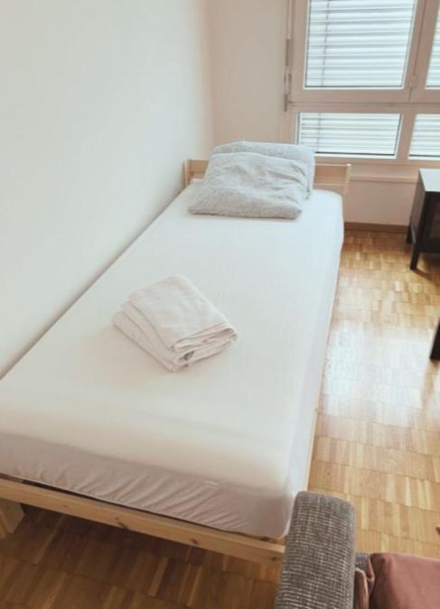 Apartment Center Flats In Downtown, Jakobade - Self Checkin