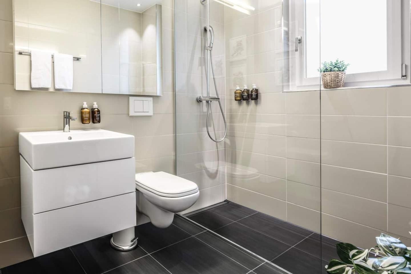 Apartment Downtown Ac Private Balcony Zurich