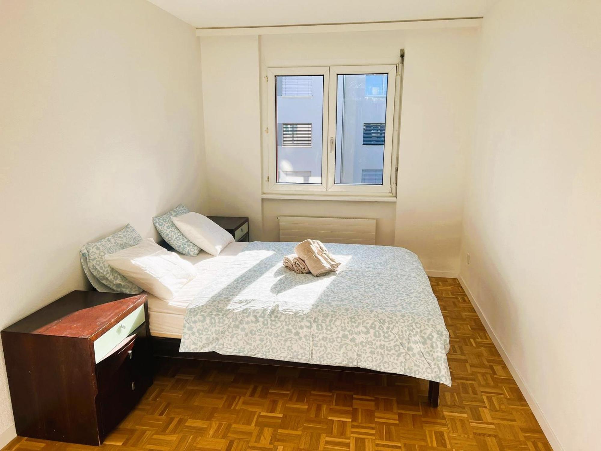 Huge Center With Balcony In Zurich, Kars Zurich