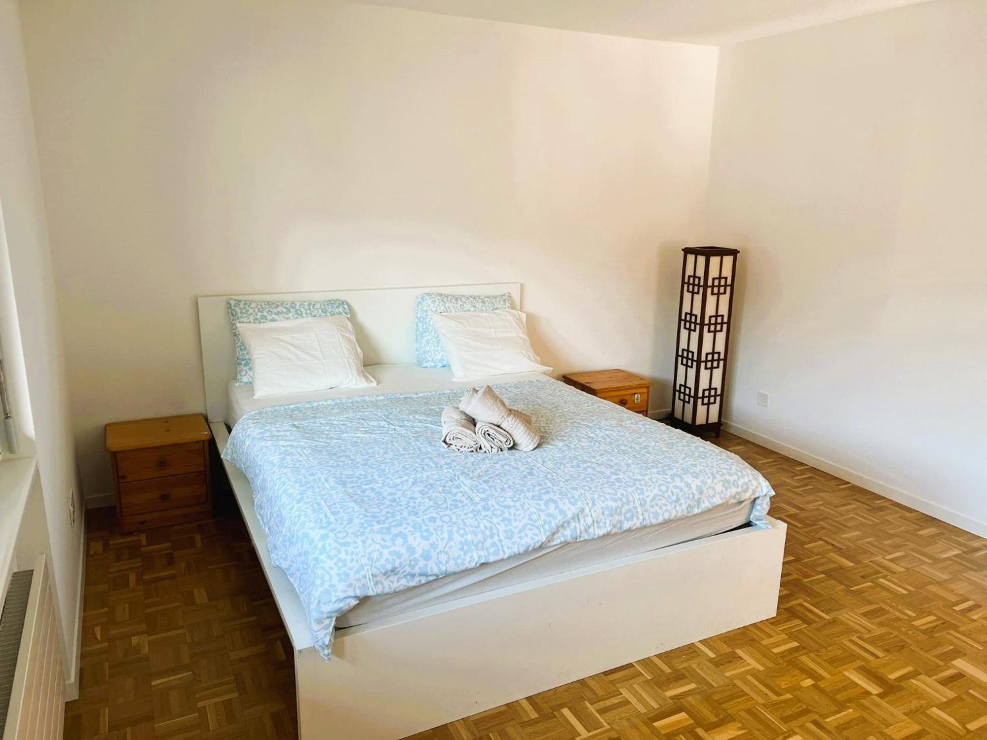 Apartment Huge Center With Balcony In Zurich, Kars