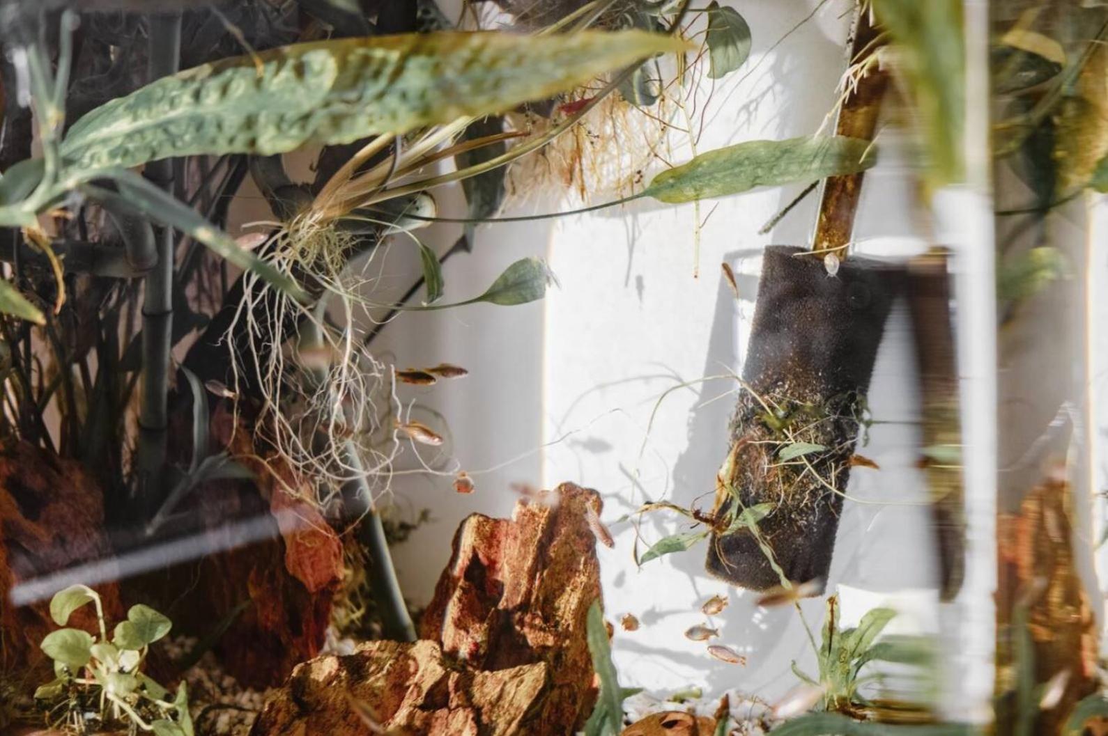 Modern With Balcony In Center A Hoh - Self Checkin Apartment