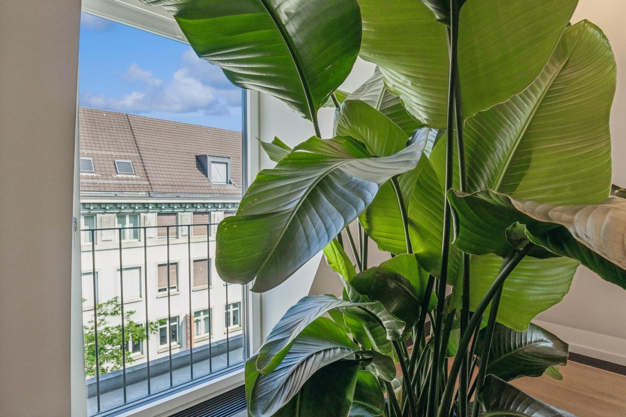 Horizon Bahnhofstrasse, Loewenstrasse Penthouse Apartment