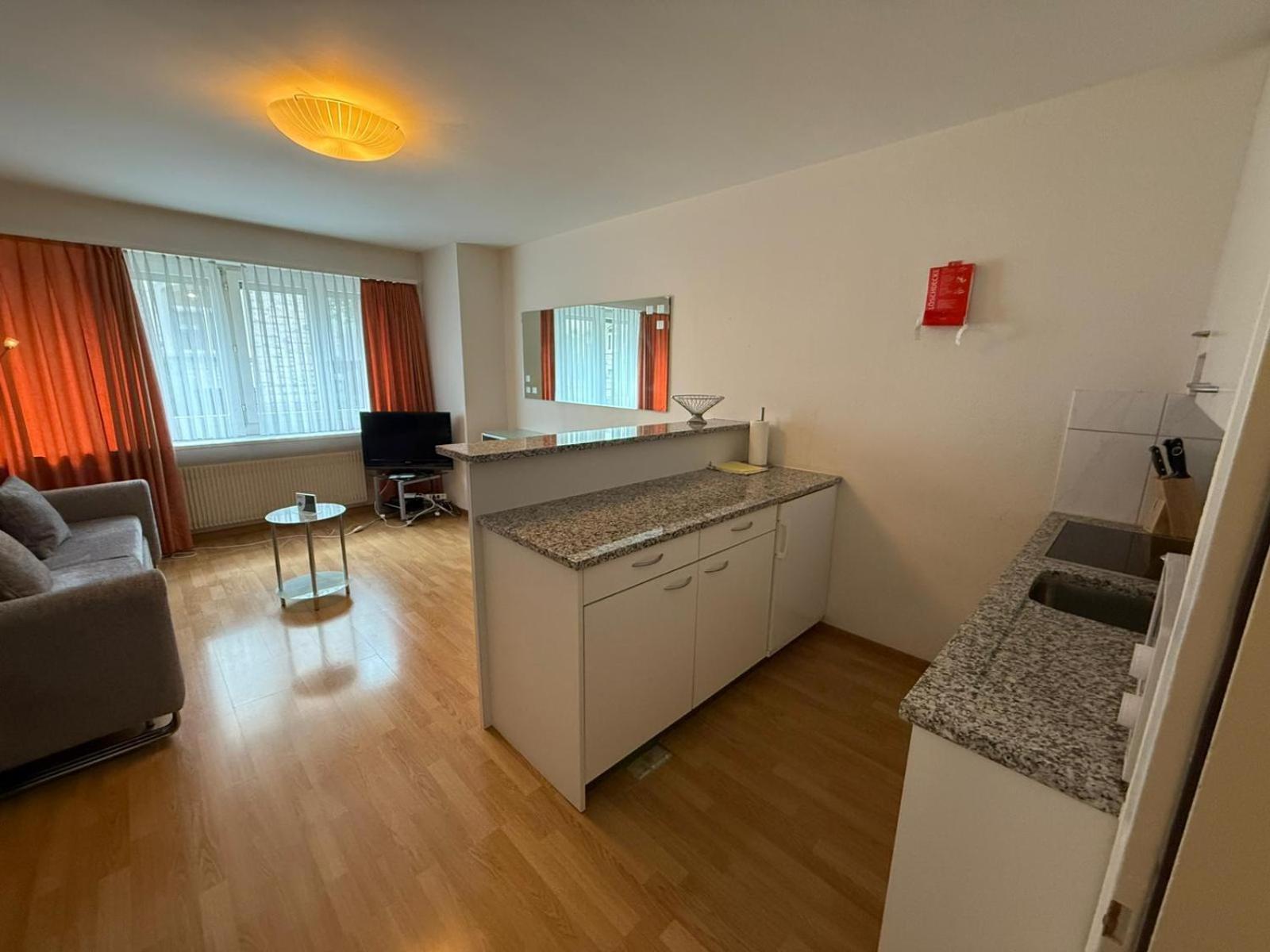1br Flat In The Center - Crown 3 Apartment Zurich