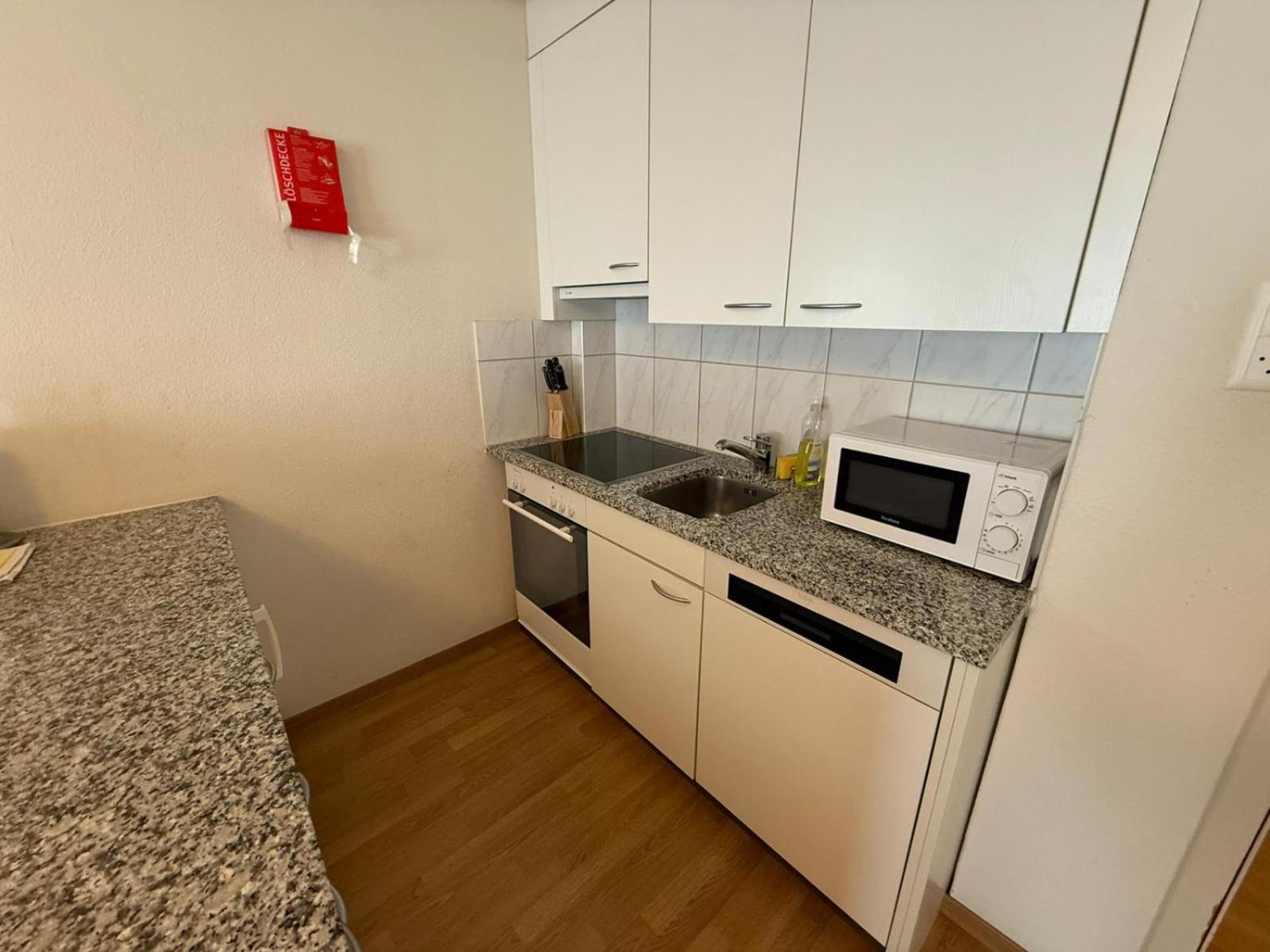 1br Flat In The Center - Crown 3 Zurich