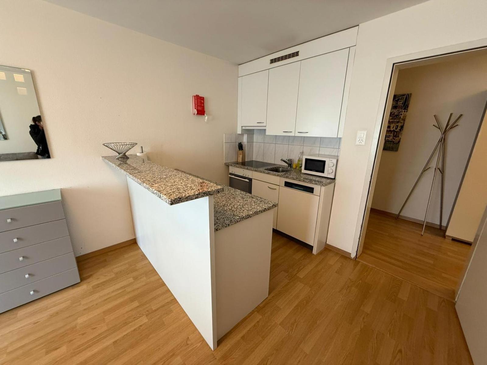 1br Flat In The Center - Crown 3 Apartment *
