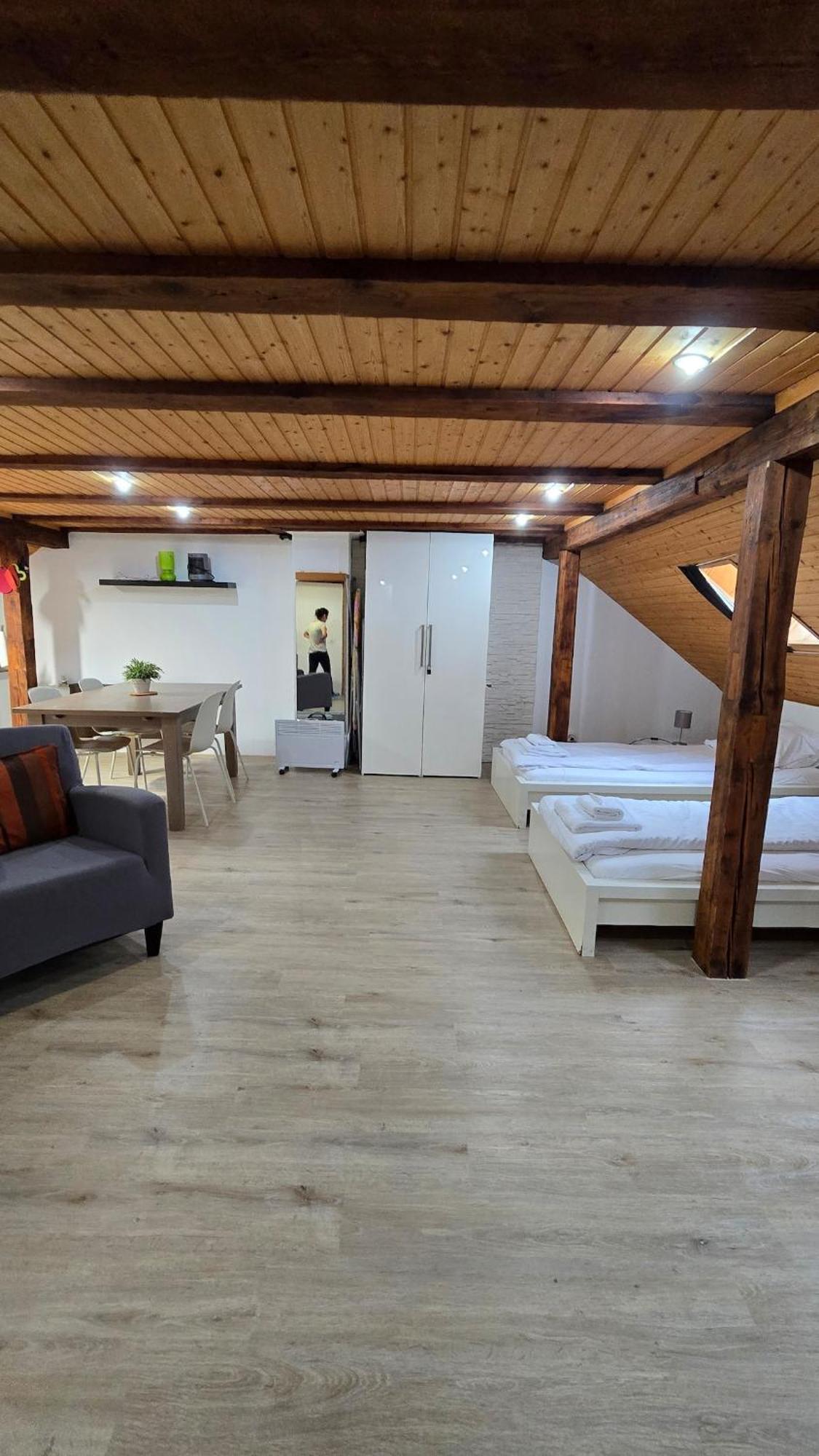 Cozy With Roof Terrace For 3 Apartment *