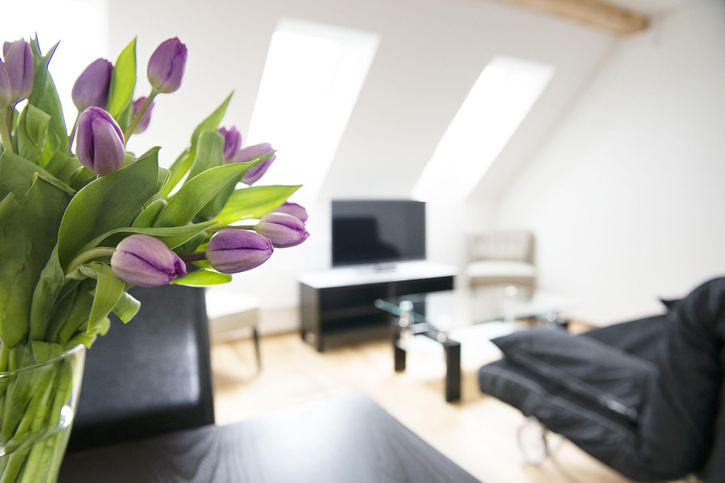 Apartment Swiss Star Longstreet - Self Check-in