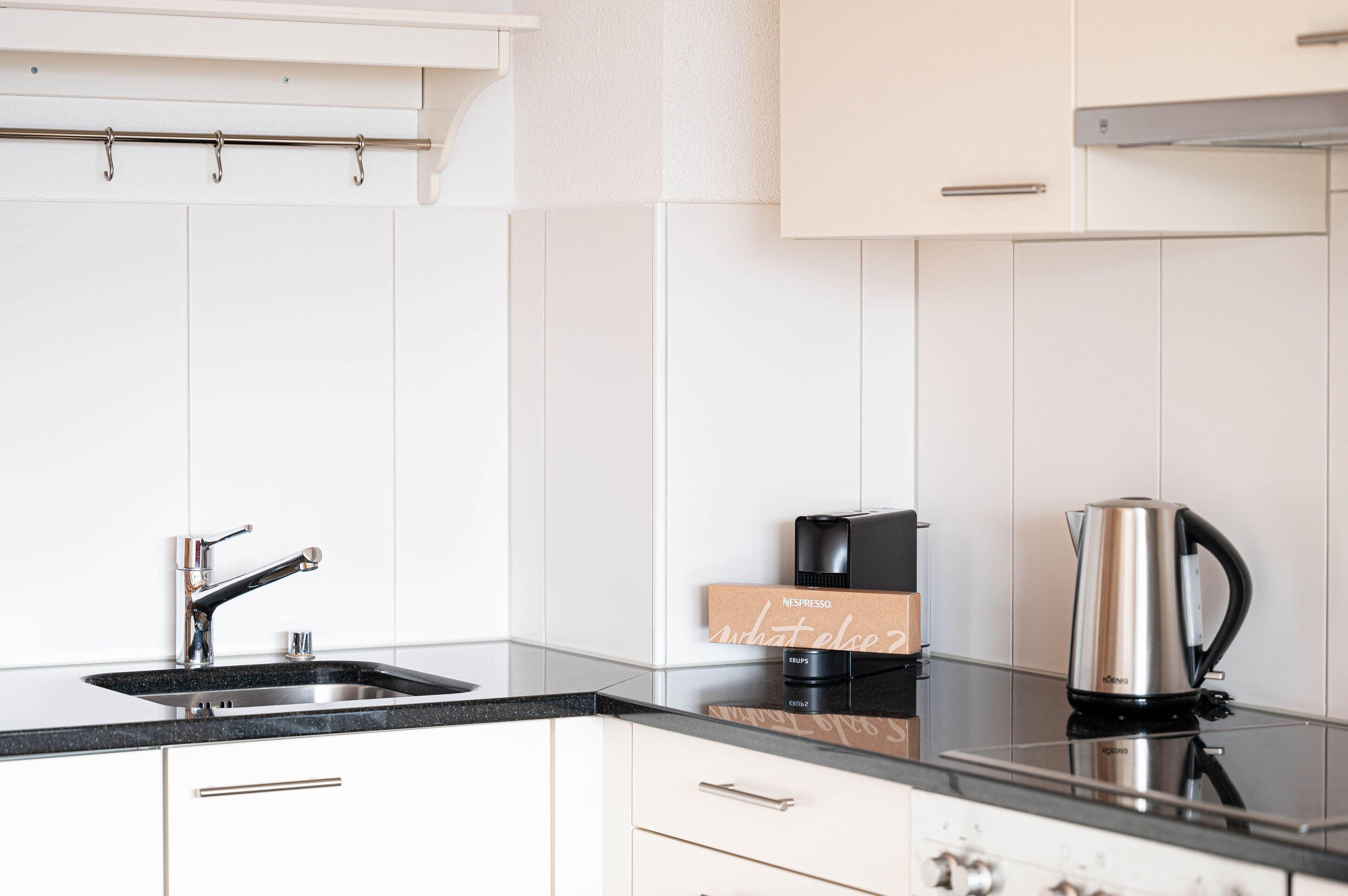 Modern 3bdr Duplex With Skyroof In Trendy West Zurich