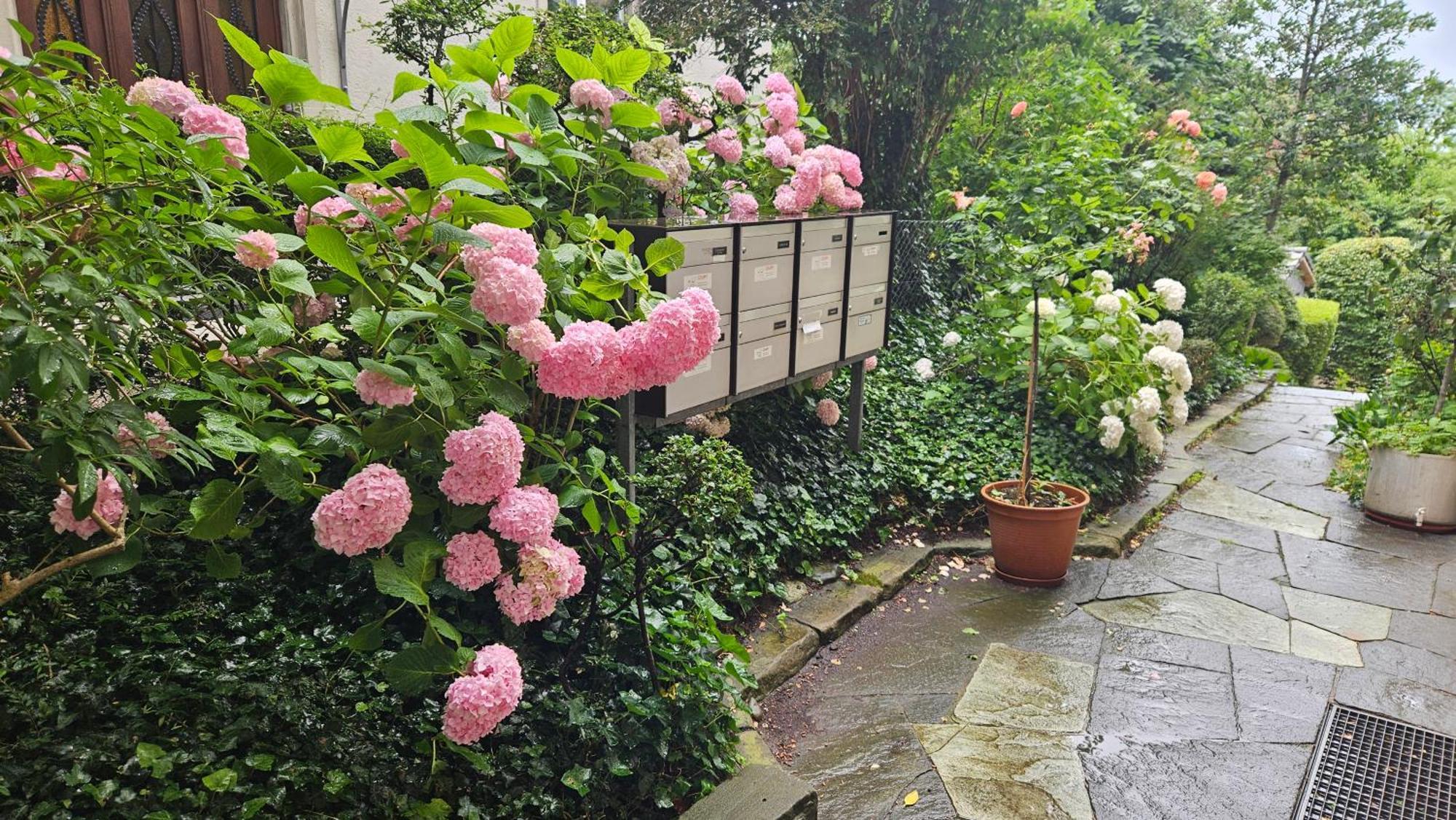 Sky Over Apartment Zurich