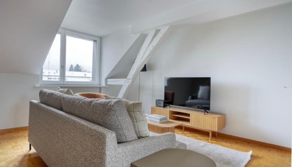 Synergy Badenstrasse Zurich