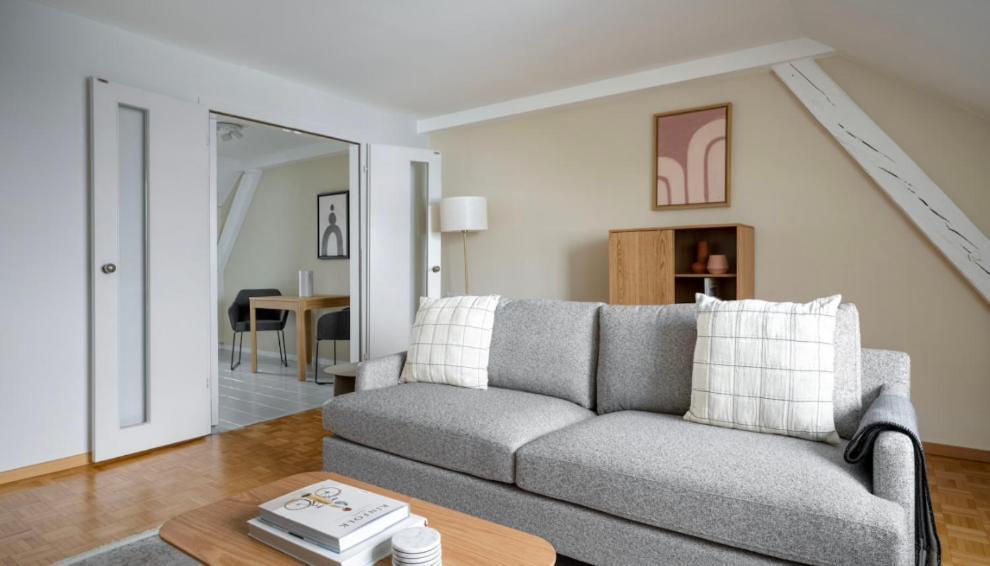 Apartment Synergy Badenstrasse Zurich