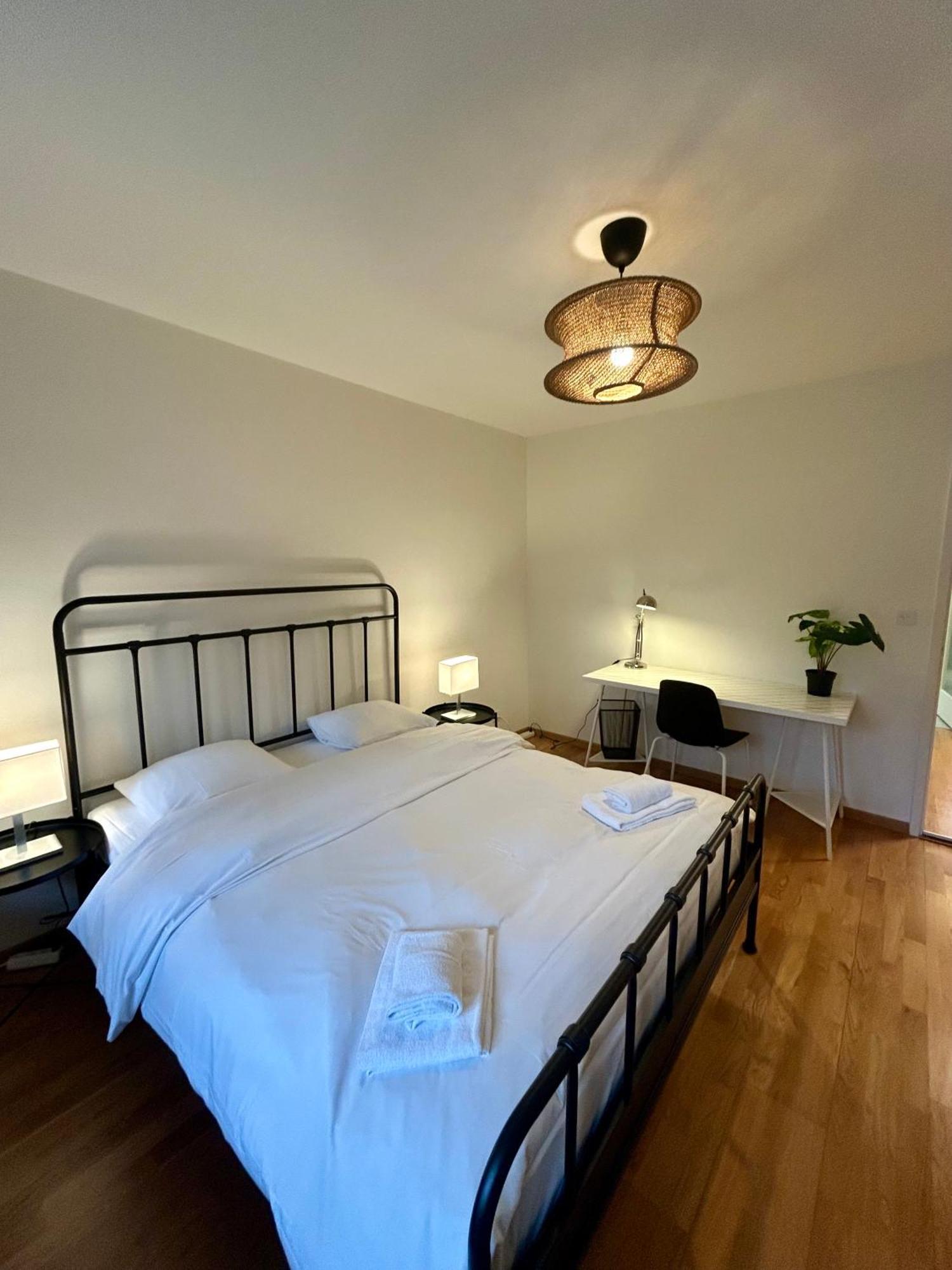 Apartment Cozy With Balcony In Zurich