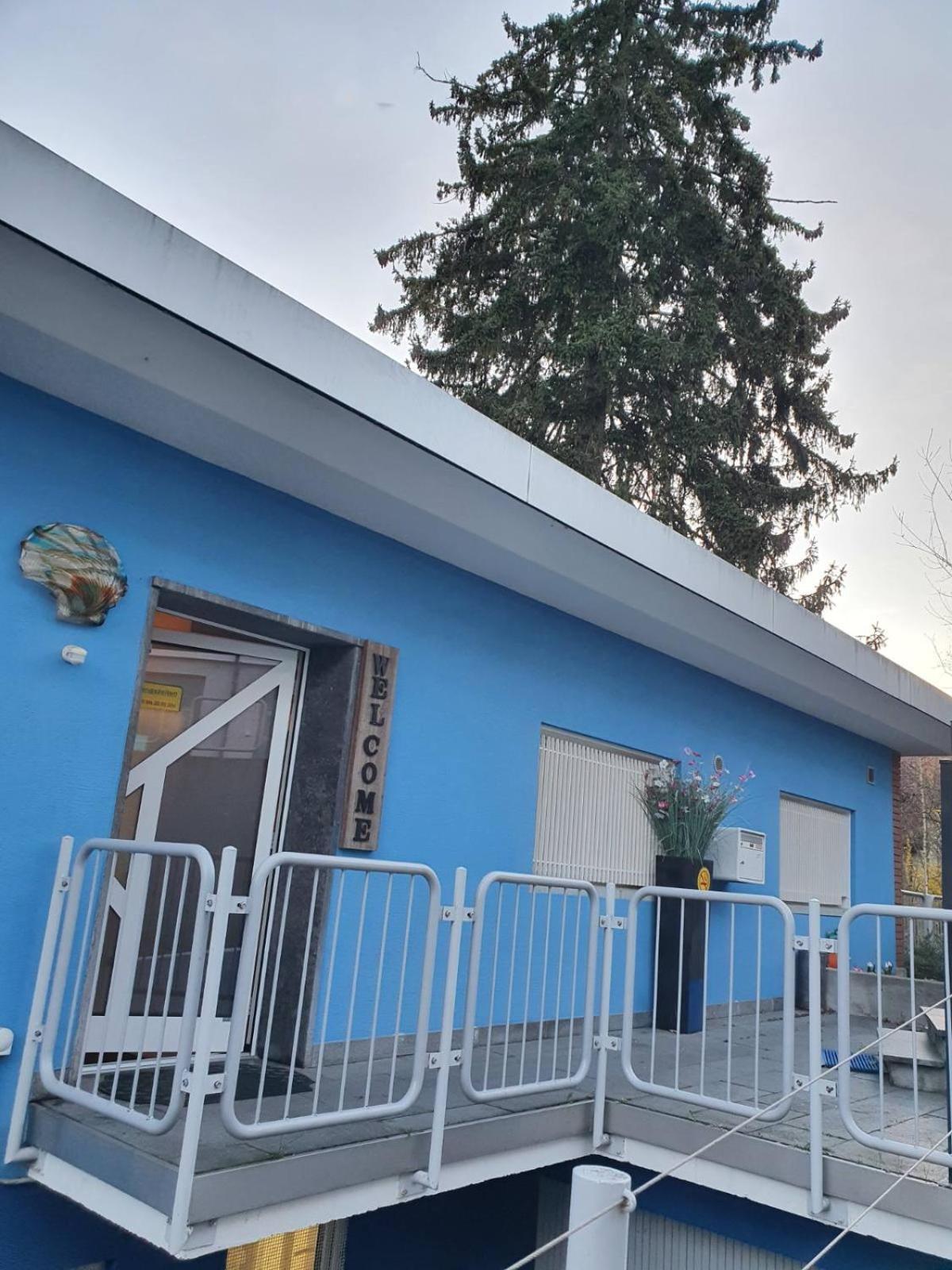 Hostel Viktoria Budget